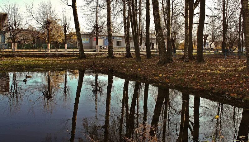 холмские пруды отдых. фишерикс беседки. прудовое минск база отдыха. холмские пруды отдых. пруд лесной база отдыха тюмень пляж.