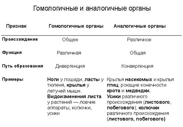 Аналогичные условия это. Аналогичные органы и гомологичные органы ЕГЭ биология. Аналогичные и гомологичные органы таблица. Аналогичные органы и гомологичные органы таблица. Гомологичные и аналогичные органы таблица аналогичные.