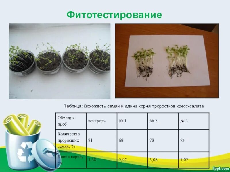 Выявление уровня токсичности почв пришкольного участка и прилежащих к нему терри