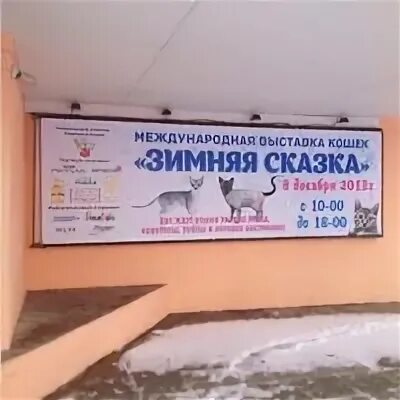 Дом молодежи саров. Дом молодежи саров