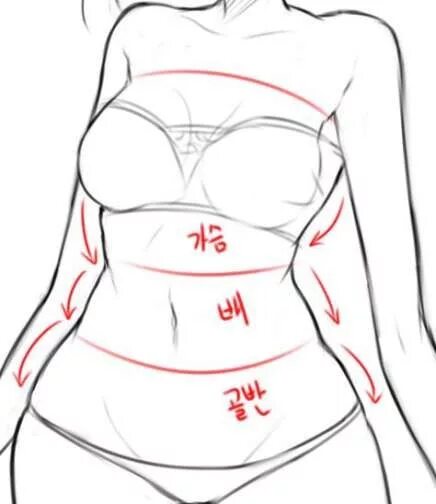 Мужское тело референс анатомия. Толстые мужчины аниме. Женский живот референс. Референс беременность аниме. Покрас кожи туториал.