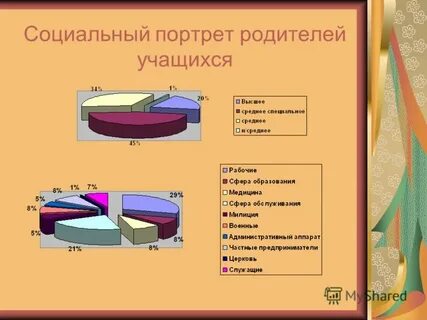 Социальный портрет общества