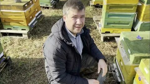 Перевозим пчел