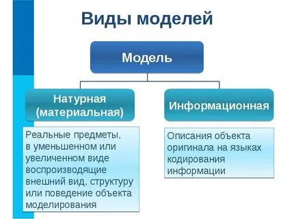 Какие модели называют натурными
