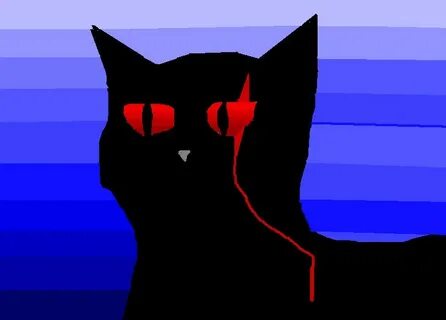 Zxc кот
