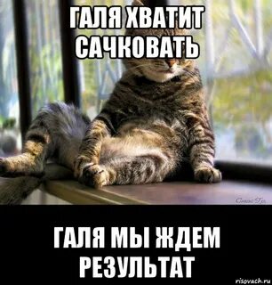 Ждем итогов