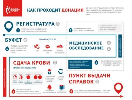 Сколько нельзя пить перед донорством