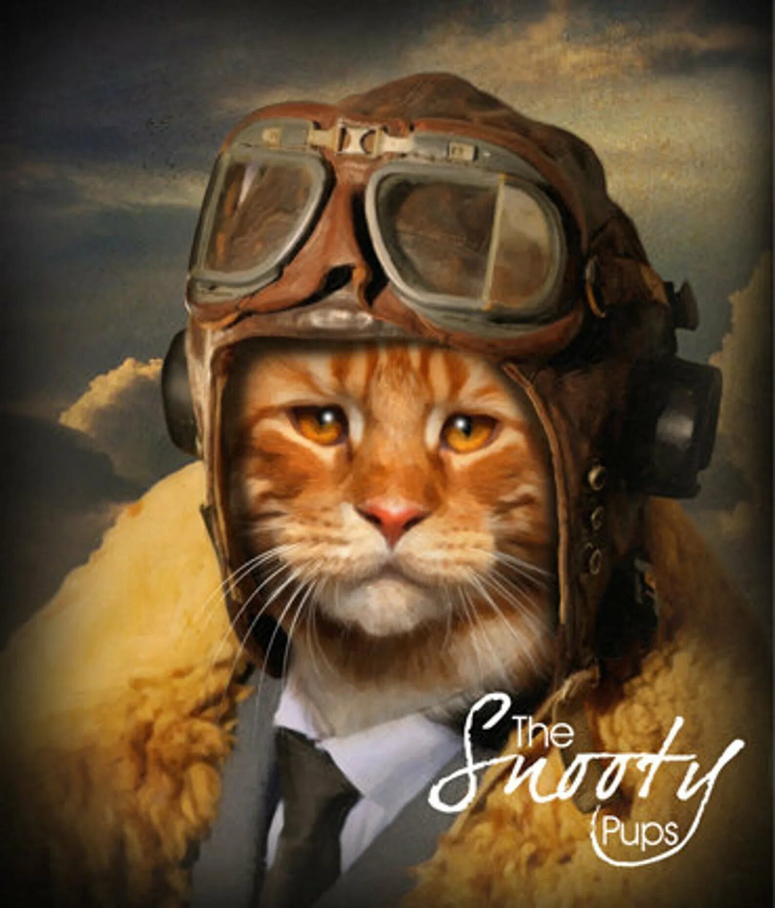 Кот военный пилот. Кот пилот схема натальи луповой. Кот летчик картина. Котик пилот. Кот пилот.