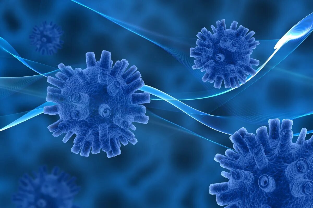 вирус скетч. взаимодействие вирусов и растений. вирус вич под микроскопом. вирусные цвета. вирусы.