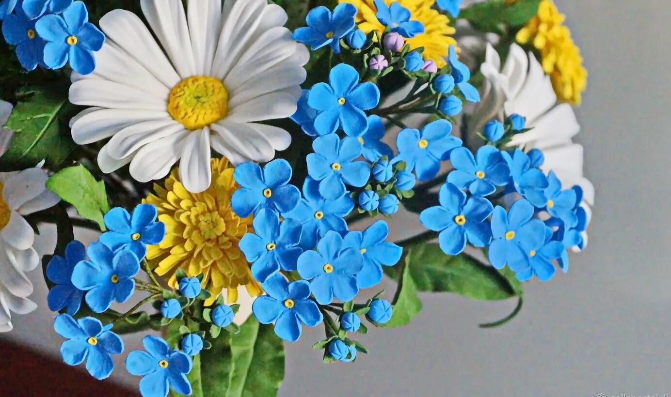 букет из незабудок. незабудка мелкоцветная. незабудка синяя корзинка. незабудка цветок букетик. незабудка букет цветов незабудки.