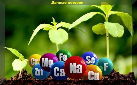 Микроэлементы в жизни растений