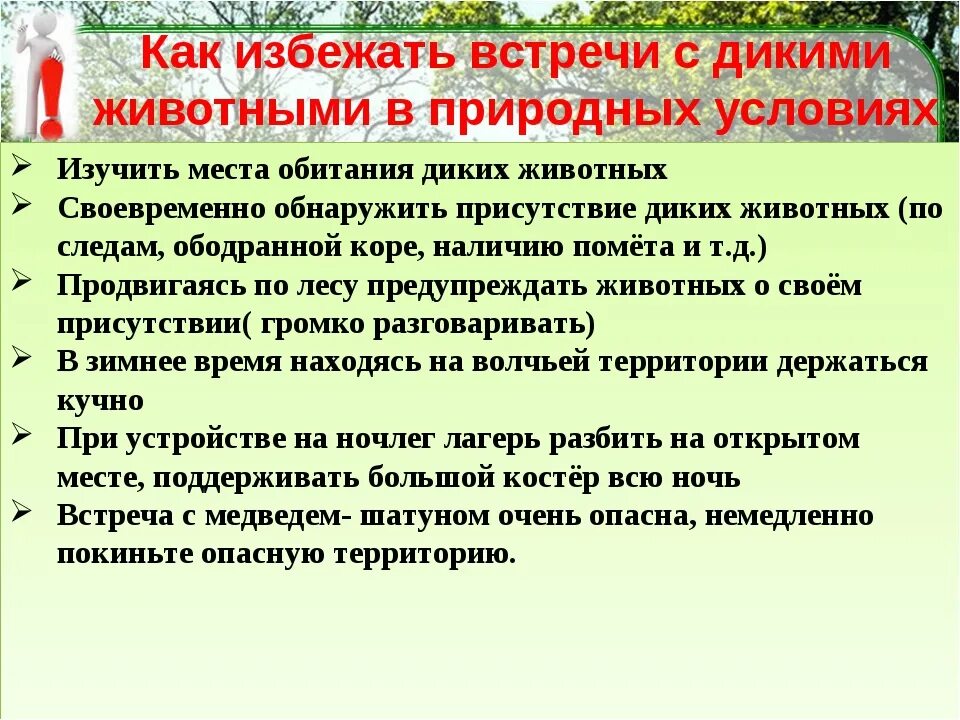 Обж безопасность при встрече с дикими животными. Безопасность при встрече с дикими животными. Безопасность при встрече с дикими животными в природных условиях. Правила поведения с дикими животными. Правила поведения с дикими животными в лесу.