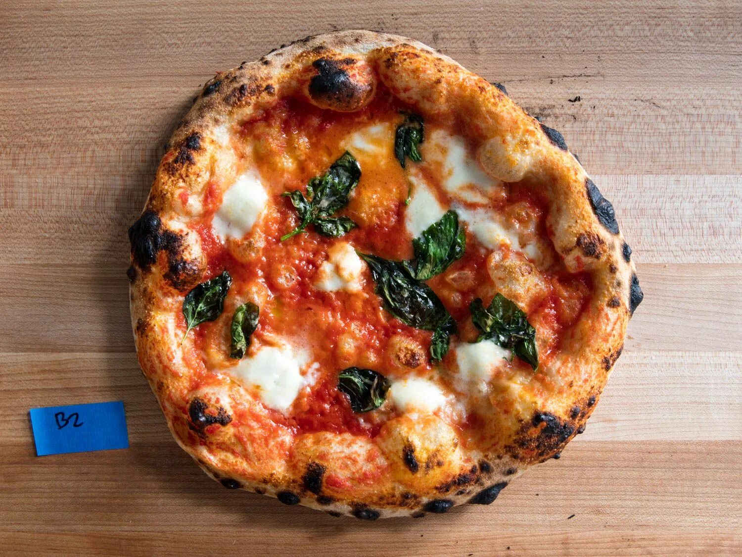 Смарт пицца про животных. Смарт пицца. канал смарт пицца. smart pizza блоггер. smart pizza про животных.