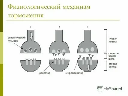 Уравнительная система оплаты