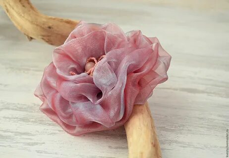 Ash rose