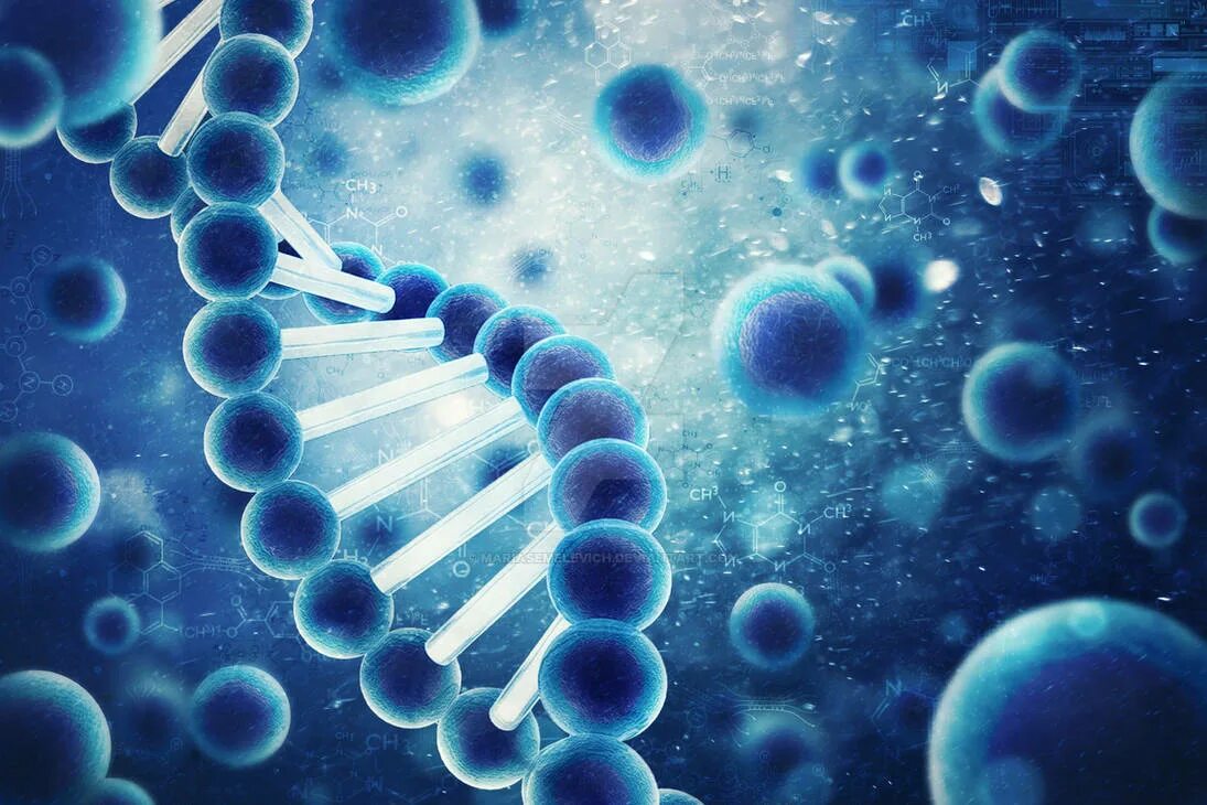 Живая клетка днк. Молекула ДНК. Клетка ДНК человека. Молекула клетки.