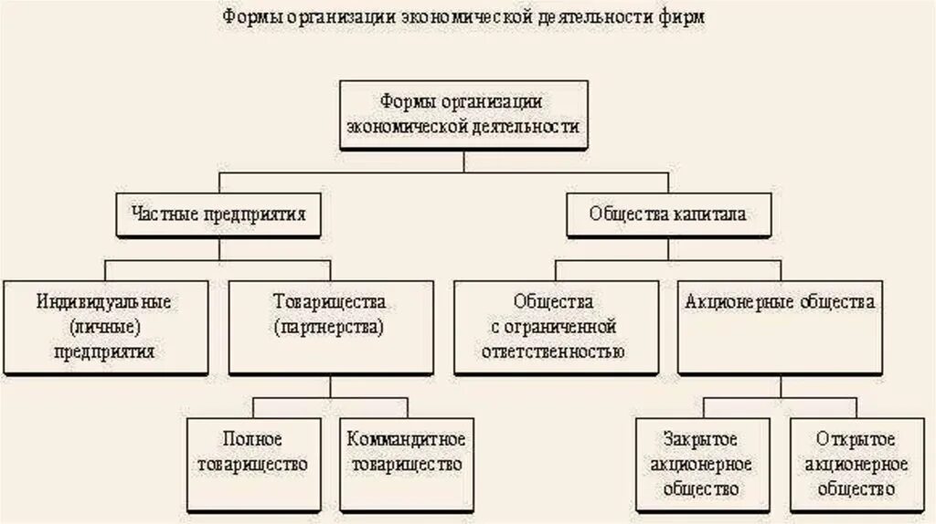 Организация хозяйственного обслуживания. Формы организации экономической деятельности фирм. Организационные формы функционирования фирмы. Формы организации хозяйственной деятельности. Организационно-экономические формы.