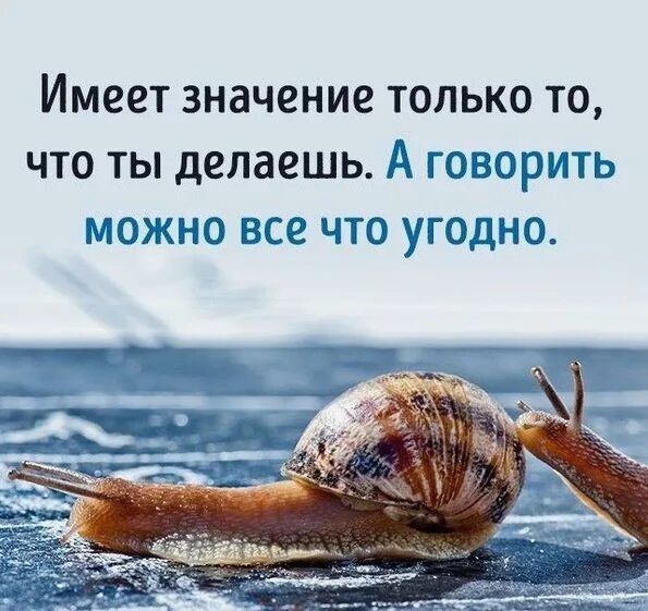 Мемы про теннис. Если вы вдруг стали для кого-то плохим. Курсовая работа приколы. Это означает что ты делаешь. Если ты стал для кого-то плохим.