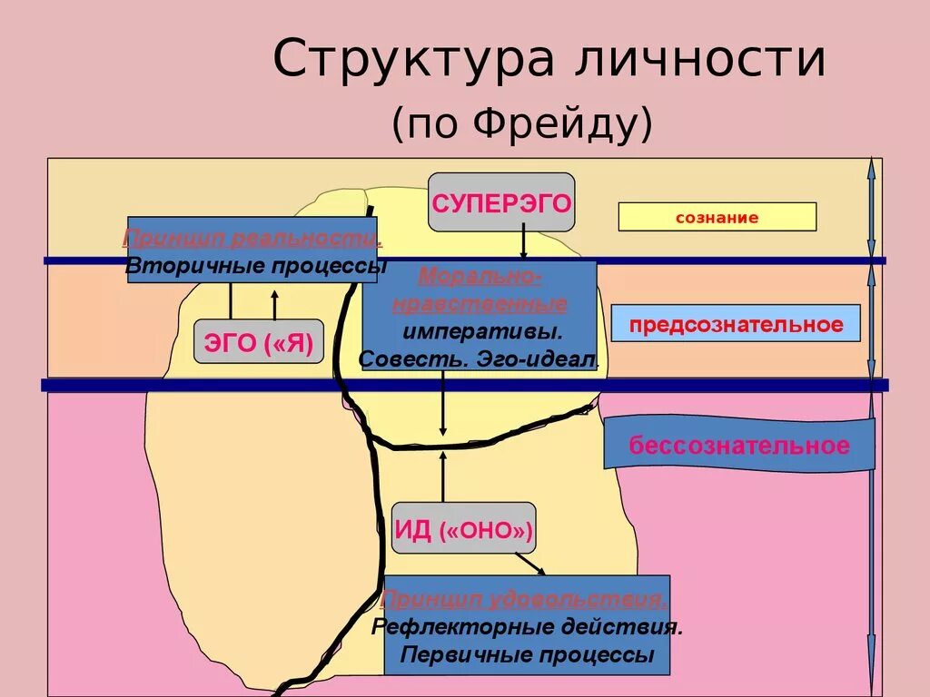 Структура личности по фрейду. Первичные и вторичные процессы по фрейду. структура личности ид эго суперэго. первичный и вторичный процесс в психоанализе.
