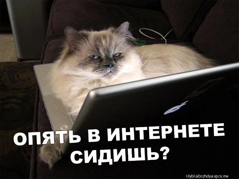 Снова идти спать