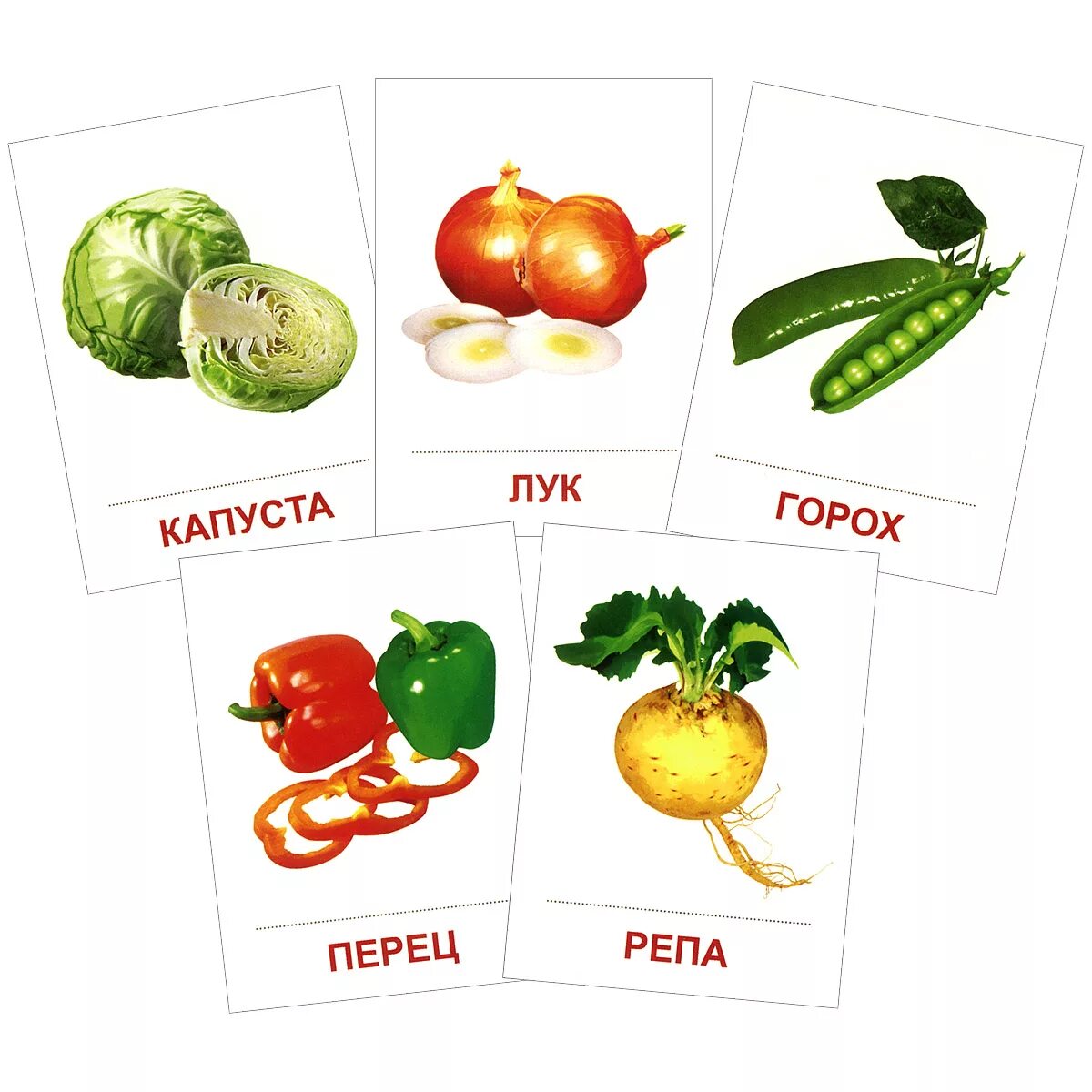 Игра называется овощи. Карточки. Овощи. Карточки овощи для детей. Карточки овощей и фруктов для детей. Карточки с изображением овощей.