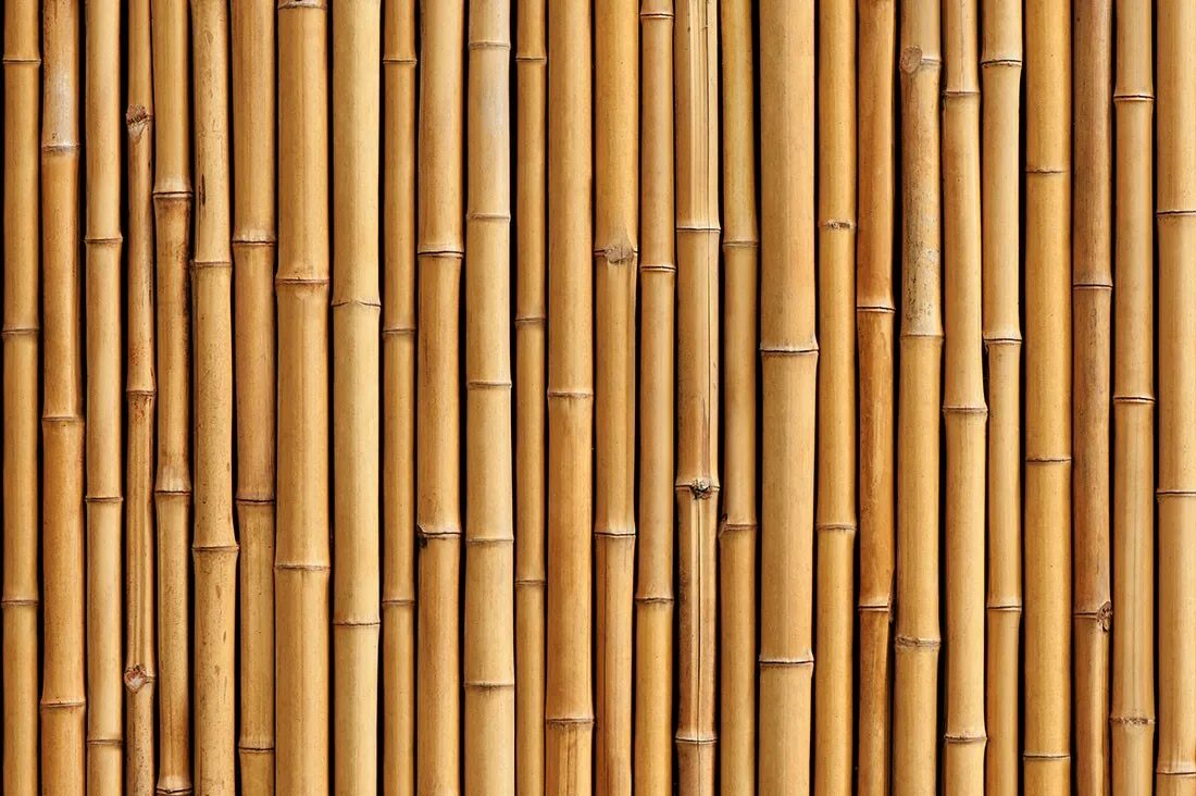 Бамбук на стене. Bamboo am. Бамбуковый стеллаж своими руками из бамбука. Bamboo am. Бамбук желтый.