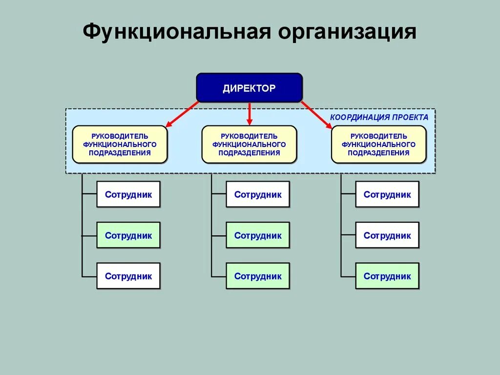 Функциональная структура организации. Функциональная организационная структура управления схема. Функциональная организационная структура предприятия схема. Функциональная организационная система управления схема.