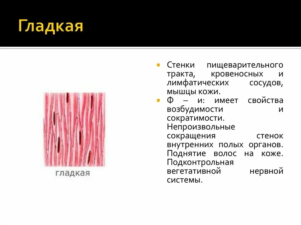 Каким уникальным свойством обладает мышечная ткань поясните