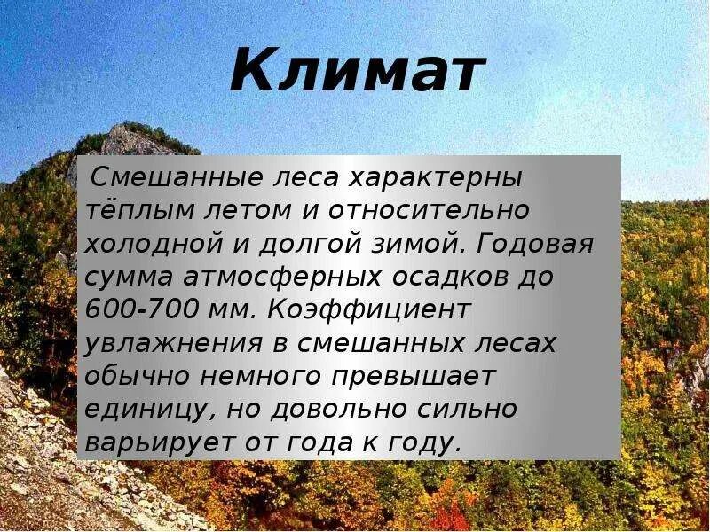 Климатические условия смешанных и широколиственных. Зона широколиственных лесов климат. зона смешанных лесов климат. климат широколиственных лесов в россии. зона смешанных и широколиственных лесов климат.
