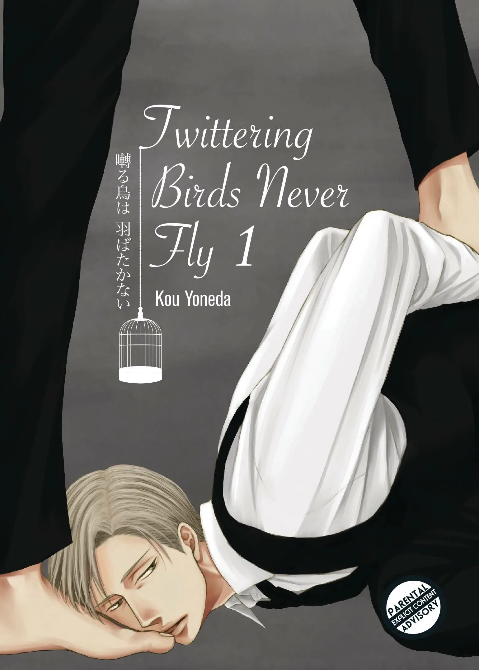 Never fly