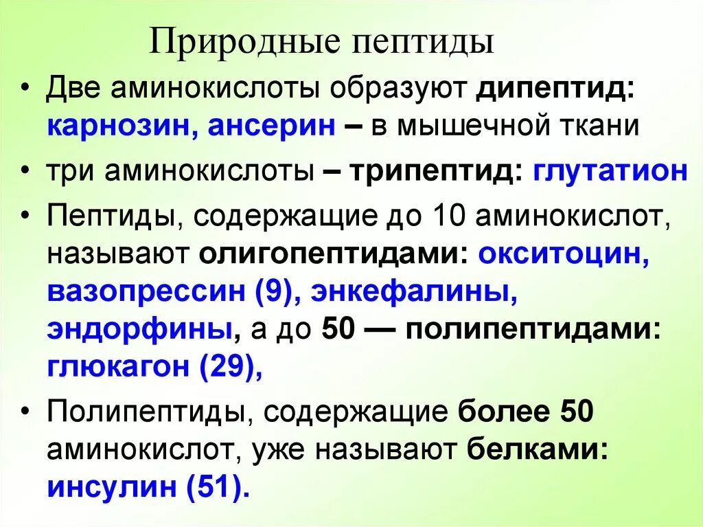 Полипептиды функции. Природные пептиды. Природные пептиды примеры. Нейропептиды биологическая роль. Биологическая роль полипептидов.