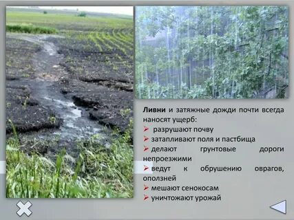 Ливневые дожди особенно характерны для каких широт