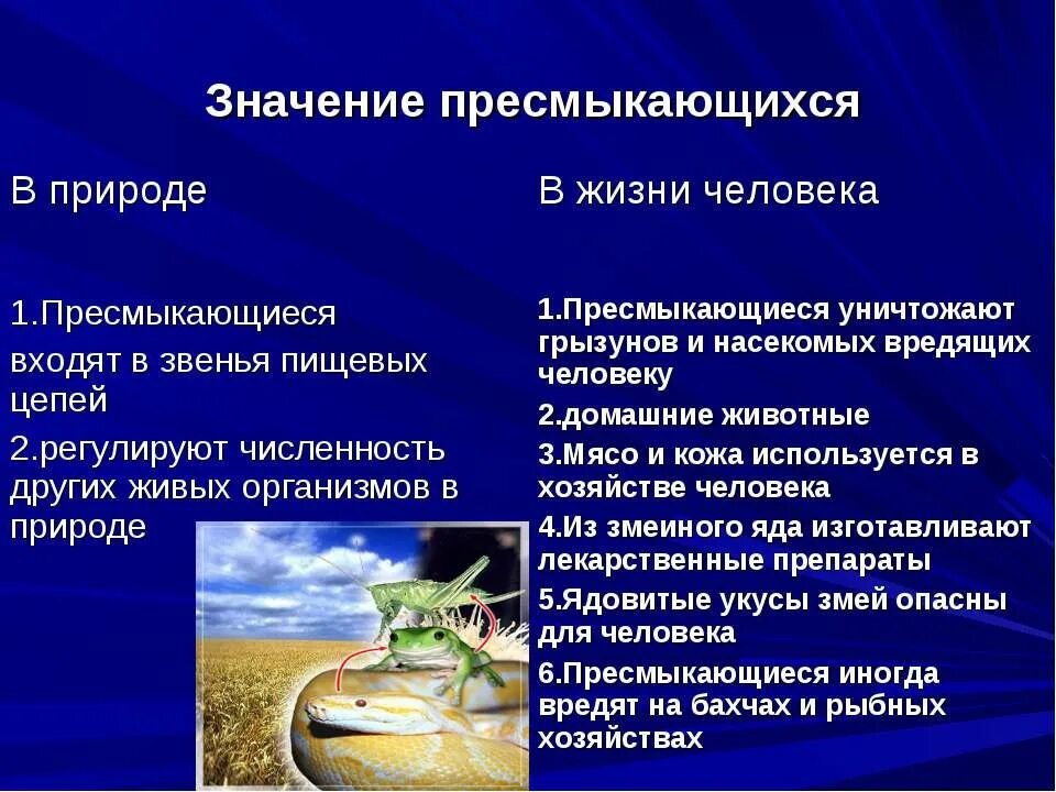 Отряд чешуйчатые значение в природе. Прогрессивные черты пресмыкающихся. Пресмыкающиеся отличаются от земноводных. Пресмыкающихся и их охрана и значение. Пресмыкающиеся численность.