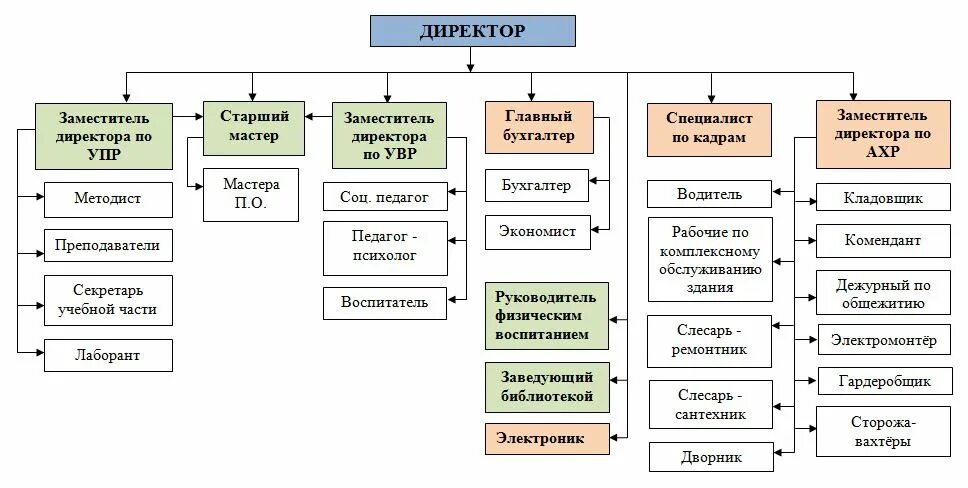 Структура компании начальник отдела схема. Директор заместитель директора заместитель директора структура. Организационная структура предприятия зам директора. Организационная структура компании директор зам бухгалтер.