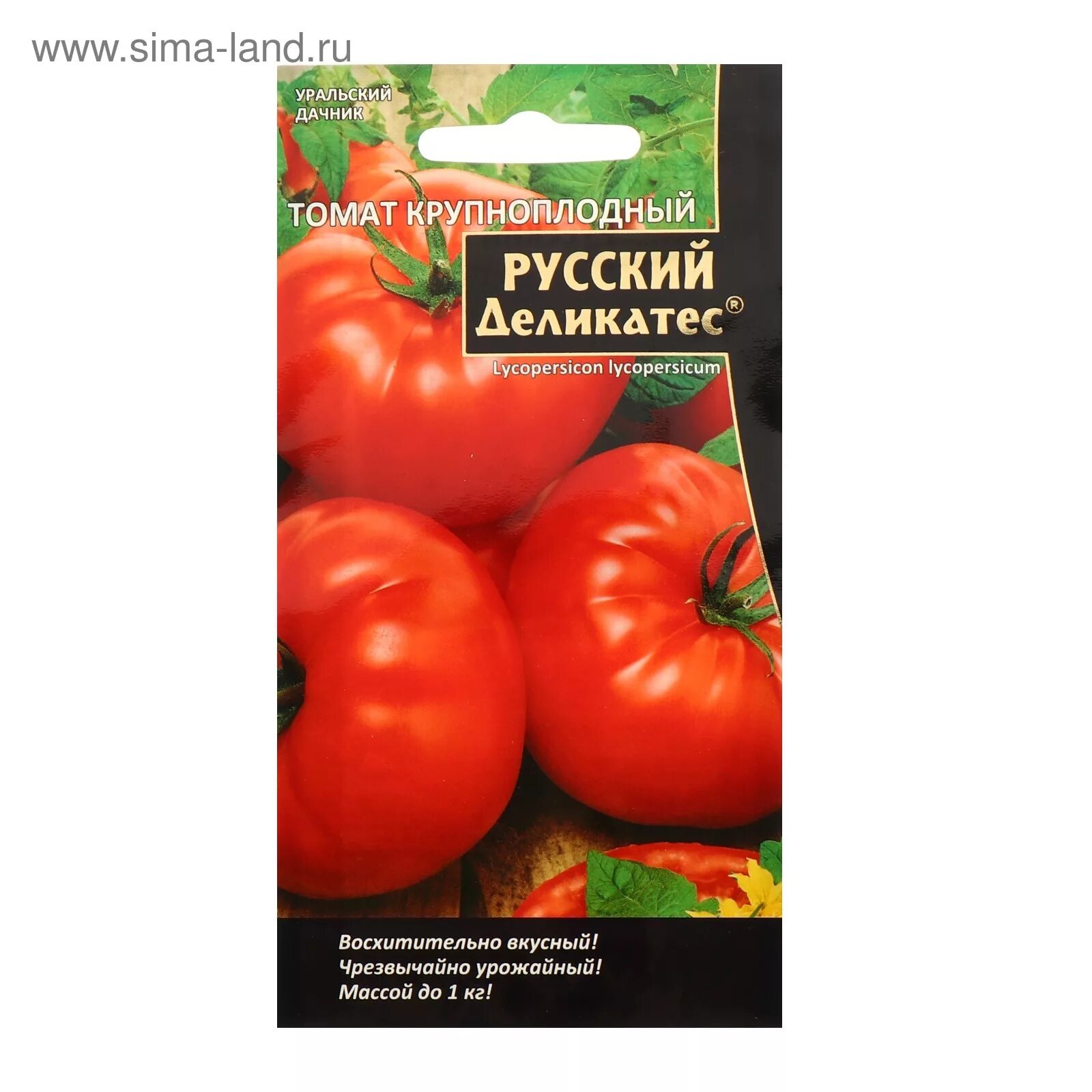 Сорт томата уральский дачник. Томат крупноплодный русский деликатес. Томат черри русский деликатес. Семена томат русский деликатес черри высота. Семена 74 Уральский.