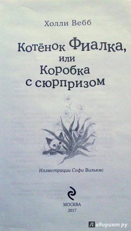 Котенок фиалка или коробка с сюрпризом. Котенок фиалка или коробка с сюрпризом