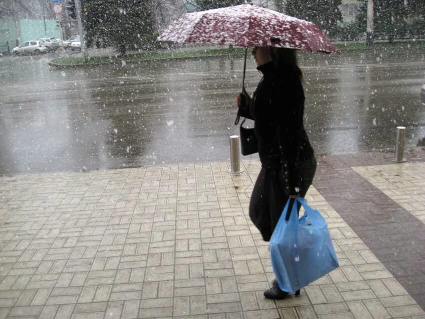 Алиса сегодня дождь есть. Дождь в Грозном. Дождь будет. Грозный в дождливую погоду. Какой сегодня дождь.