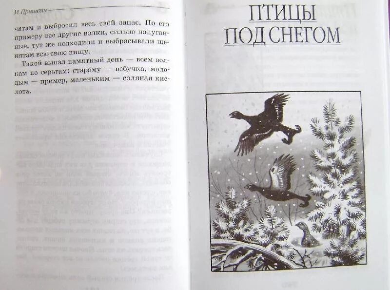 Пришвин остров спасения иллюстрации. Остров спасения пришвин. Книга остров спасения Пришвина. Иллюстрация к рассказу остров спасения пришвин.