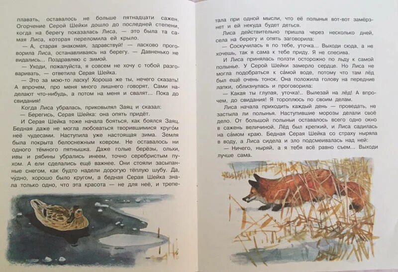 У серой шейки замерло сердце. Мамин Сибиряк серая шейка. Серая шейка Издательство речь. Серая шейка книга.