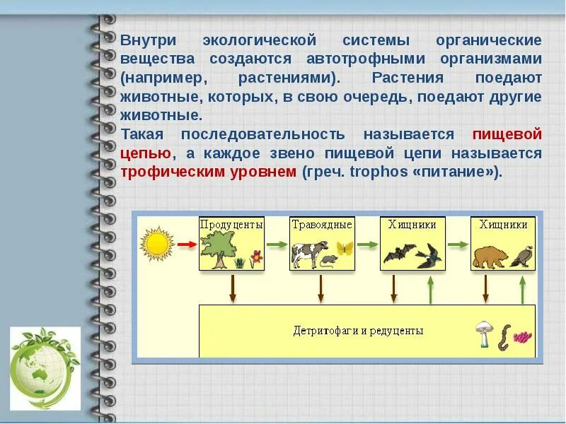 Органические системы примеры. Органические системы примеры. Органические системы примеры. Органические веществв. Органические соединения в почве.