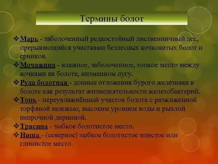 Болотная причины. Болота термин. Что такое термин болото кратко. Дайте определение понятию болото. Причины образования болот 6 класс.