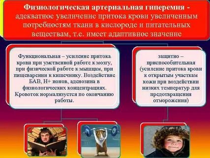 Физиологическая гиперемия