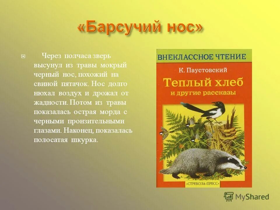 Из зарослей вылез маленький барсук к паустовский. Через полчаса зверь высунул мокрый черный. Через полчаса зверь высунул мокрый черный. Через полчаса зверь высунул мокрый черный. Через полчаса зверь высунул мокрый черный.