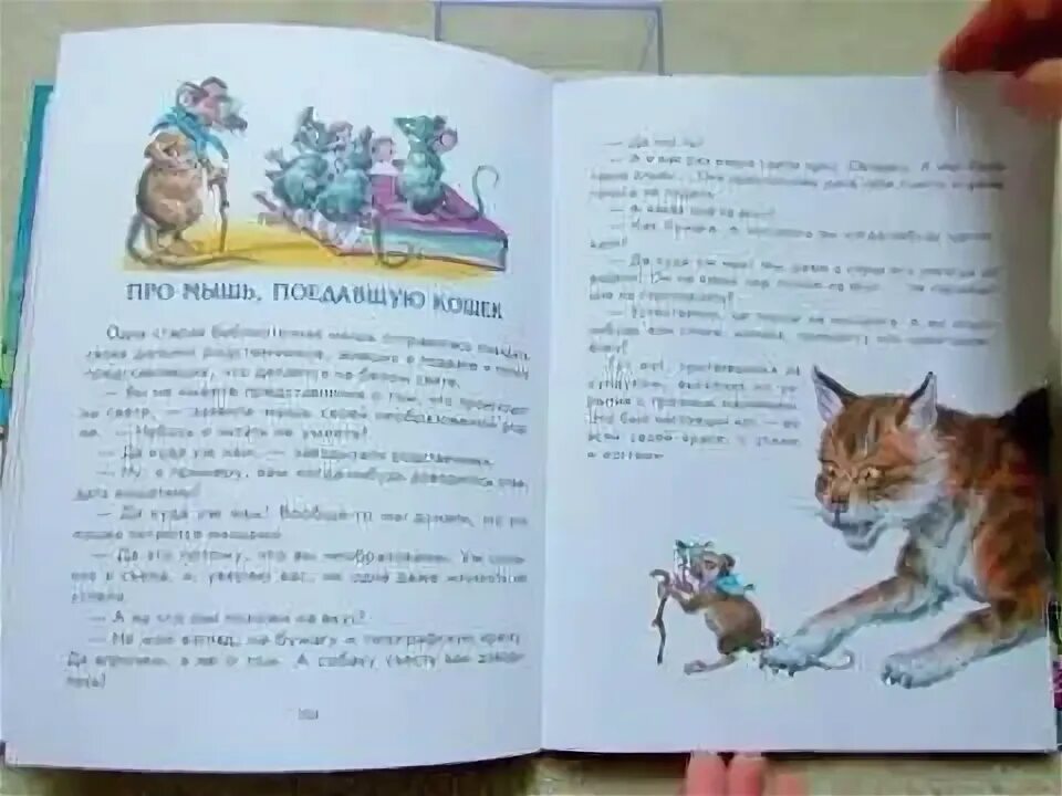 Мышонок который был кошкой собакой и тигром