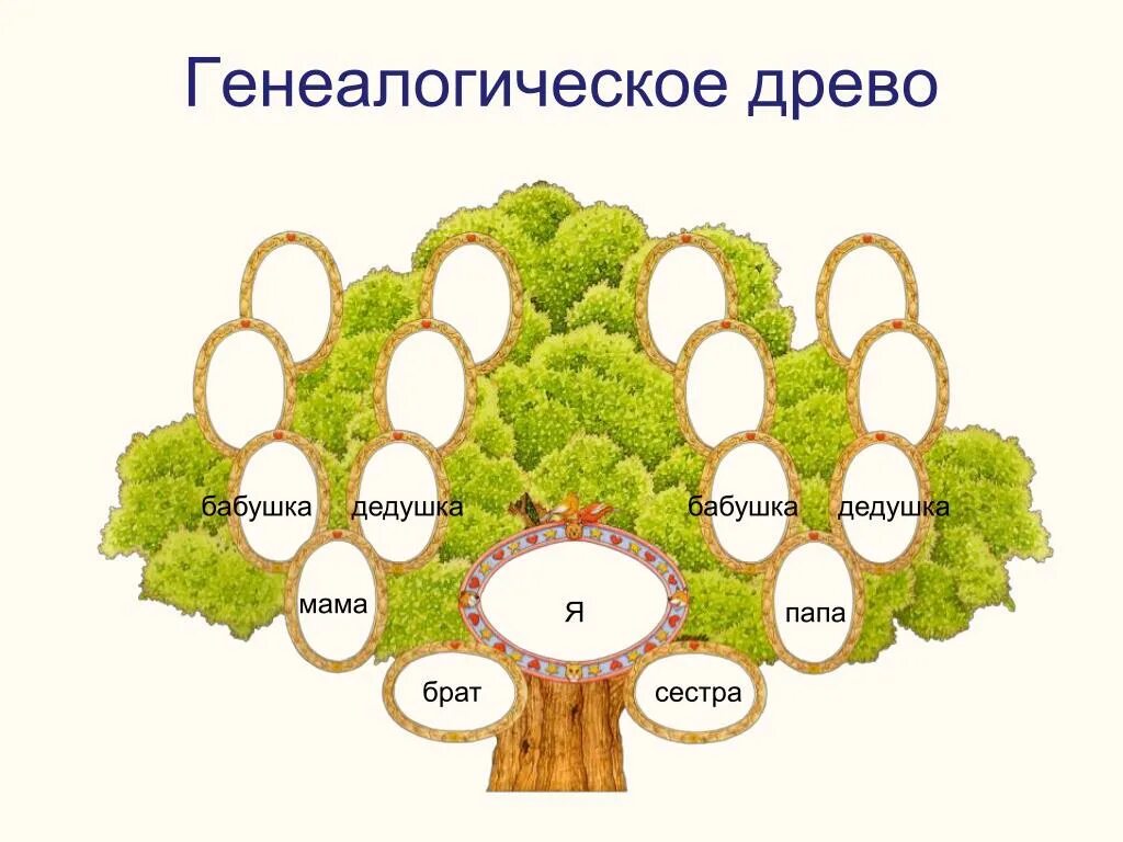 Родственники окружающий мир. Генеалогическое дерево я сестра мама папа бабушка дедушка. Родословная генетическая дерево. Родословная. Составление схемы родословного древа, истории семьи.. Макет родового дерева.