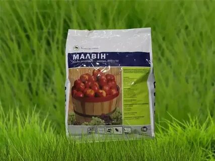 Малвин
