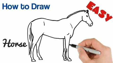 How horse