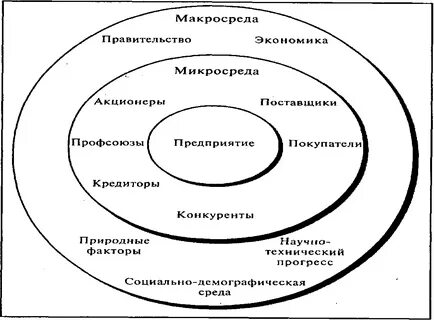 Внешняя среда рынка