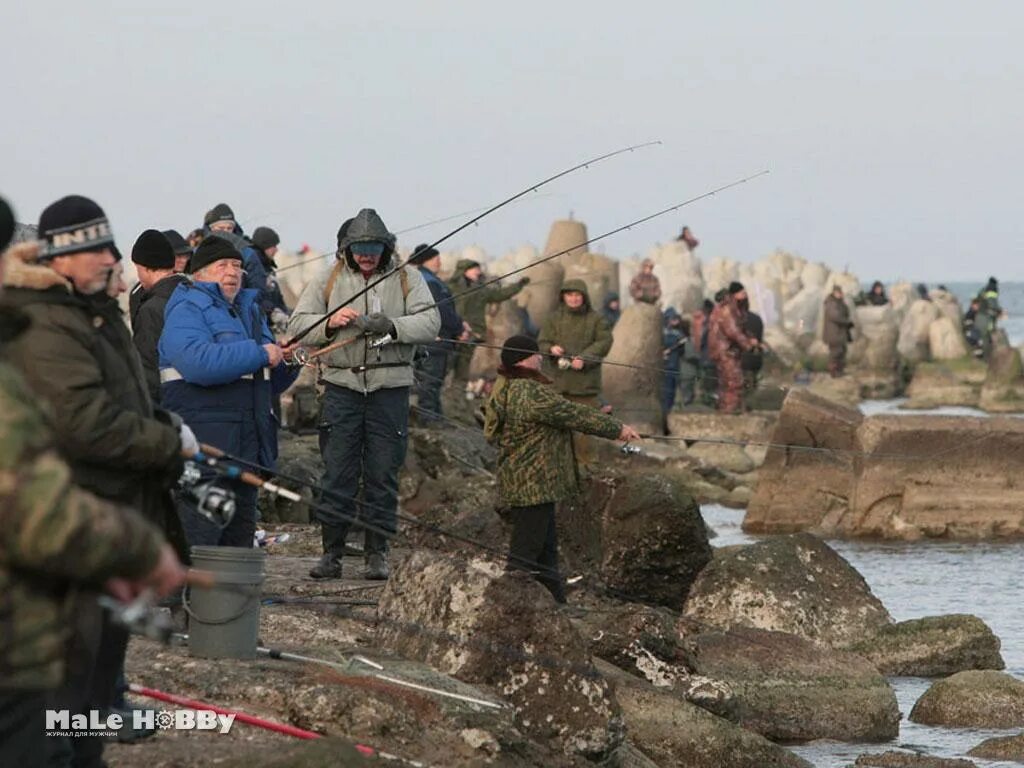 Рыбалка в калининграде сегодня. Рыбалка в Балтийске. Рыбалка в Балтийске Калининградской области. Рыбалка в Балтийском море Калининград. Калининградский лосось.