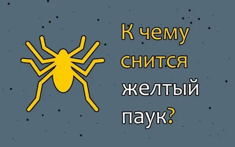Паук толкование